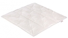 Paradies Daunendecke Nalu Bio 80x80cm