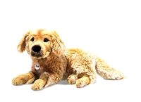 Steiff Golden Retriver Andor 45 hellbraun gespritzt