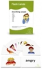 12 Bildkarten Englisch - describing people