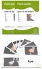 12 Bildkarten Englisch - parts of the body