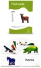 12 Bildkarten Englisch - pets