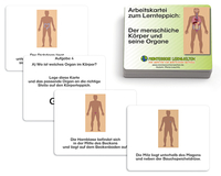 Arbeitskartei zum Lernteppich: Der menschliche Körper und seine Organe