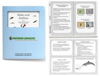 Aufbauende Lernkartei - Wale und Delfine