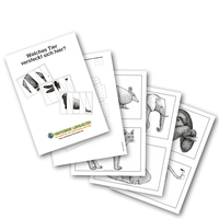 Aufdeckspiel ”Welches Tier versteckt sich hier?“ (DOWNLOAD)