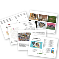 Die Kraft der Fünf - Zahlenspiele rund um die Fünf ab 5 Jahren (DOWNLOAD)