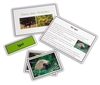 Legematerial - Tiere des Waldes
