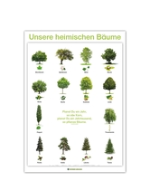 Lernposter Unsere heimischen Bäume