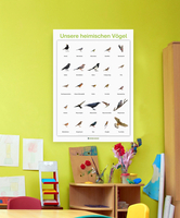 Lernposter Unsere heimischen Vögel