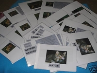 Leseübungen zu Tiger,  Katze,  Gepard,  Löwe,  Luchs (DOWNLOAD)