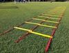 Doppel Koordinationsleiter - flach 3 m