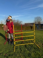 Hobby Horse Sprunghindernis-Set (22-teilig) - 2 Farben