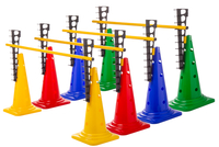 Leiterhürde (Einzelhürde),  4 Farben - Höhe: 52 cm