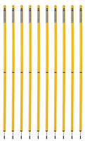 Slalomstange 170 cm (Ø 32 mm) 2-teilig - 10er Set