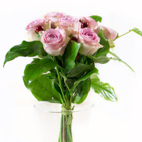 Blumenstrauß "delicate"