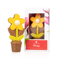 ChocoDaisy - Gelb - Schokolade