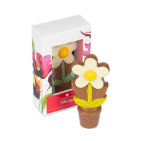 ChocoDaisy - Weiß - Blume aus Schokolade