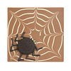 Quadrat Spinnennetz mit Keks-Spinne
