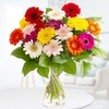 Blumen zum Verschicken - Bunte Gerbera