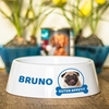 Fressnapf mit Hunde-Foto