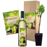 Geschenkset „Mein Wein! Gut!“