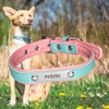 Hundehalsband mit Wunschname