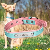 Hundehalsband mit Wunschname