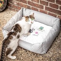 Katzenbett - Ohne Katze ist alles doof