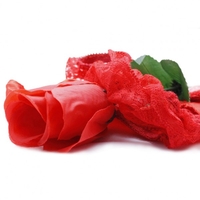 Rosen-Slip
