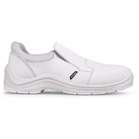 GUSTO81