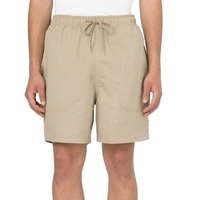 Dickies Kurze Hosen/Shorts für Herren Braun