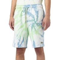 Dickies Kurze Hosen/Shorts für Herren Grün