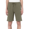 Dickies Kurze Hosen/Shorts für Herren Grün