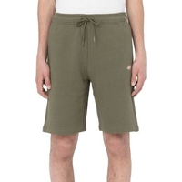 Dickies Kurze Hosen/Shorts für Herren Grün