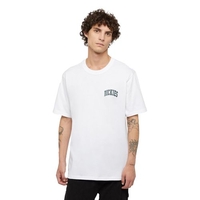 Dickies Aitkin Chest Tee Shirts für Herren White / Dark Forest