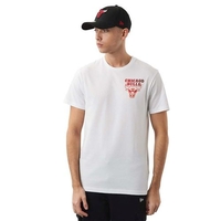 New Era Chicago Bulls Fade Tee Shirts für Herren Weiß