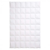 Centa-Star Ambiente Dauneneinziehdecke Leicht Sommerbett 155x220