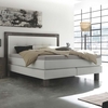 Hasena Boxspringbett Pronto Memphis 160x200 Pepe anthrazit 328 Agrea Akazie Vintage brown 62