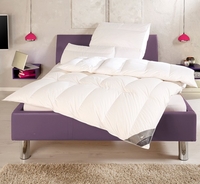 Häussling Body Perfect Daunendecke Modern Line Kassettenbett 100% Daunen multi low medium 135x200