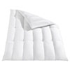 Häussling Body Perfect Daunendecke Modern Line Kassettenbett 90% Daunen 10% Federn multi sleep warm 155x220