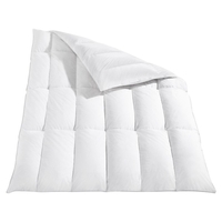 Häussling Body Perfect Daunendecke Modern Line Kassettenbett 90% Daunen 10% Federn multi sleep warm 155x220