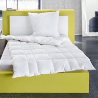 Häussling Select Daunendecke Kassettenbett 6x7 Karo multi sleep warm 155x200