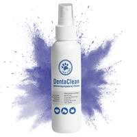 Denta Clean Zahnreinigung