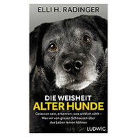Die Weisheit alter Hunde: Gelassen sein,  erkennen,  was wirklich zählt - Was wir von grauen Schnauzen über das Leben lernen können