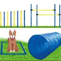 Dog Agility Set - groß -