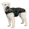 DogBite Winterjacke - Farbe: schwarz