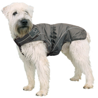 DogBite Winterjacke-Farbe: anthrazit