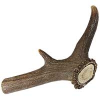 DOGREFORM Rothirsch-Geweihsnack