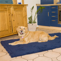 DRYPLACE-Gesundheitsdecke,  Farbe: Blau