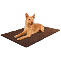 DRYPLACE-Gesundheitsdecke,  Farbe: Braun