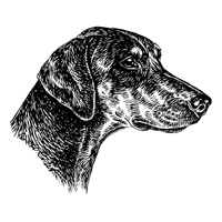 Emaille-Schild - Text:"Hier wache ich! Betreten auf eigene Gefahr!"